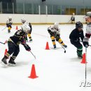 올림픽 당구 클럽 이미지