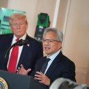 pet176나8690 이미지