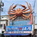 구룡포회 이미지