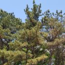 신도시충전소세차장 이미지