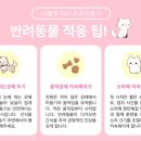 강아지 고양이 진공 흡입 미용기(이발기, 바리깡, 클리퍼) 디클펫 내돈내산 솔직후기입니다.