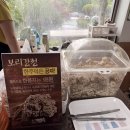 남쪽마을돌짜장