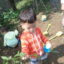 태균농장 이미지