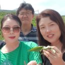 명창농장 이미지