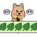 김진브레드