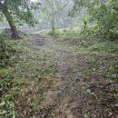 대곡면-5 이미지