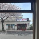 티쉬(Tisch)