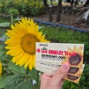 백두대간로 | [태백] 태백 갈 만한 곳 다 턴다_1