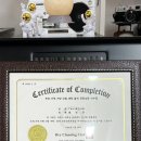 세계명품세탁소 이미지