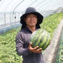 라온농장 이미지