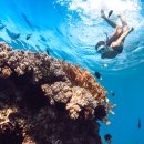 주식회사 이색투어 이미지