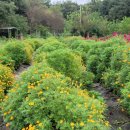 천연농장 이미지