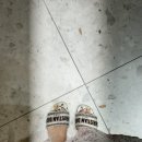 W.드레스샵 지정 | 아벨바이케이(아벨바이k) 촬영 가봉후기 / 피팅후기