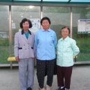 안성마을 정자앞 이미지