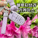 지프레니게이드 차량키케이스 추천 블루지브라키케이스 변신 후기