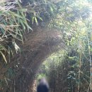고운풍경민박 | 군산가볼만한곳 어청도구불길 2코스 해안산책길