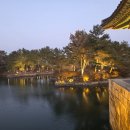 양포문어 | 경주 여행 후기 성동시장맛집, 양포문어 천북양념통닭 동궁과월지야경, 불국사