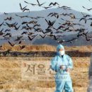 익산가축약품 이미지