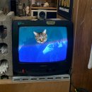 NR-3[동일로]-하-118 | 일상의 탈을 쓴 먹고 마시고 어쩌고