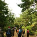 대성산 이미지