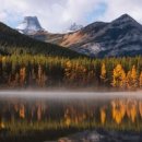 로얄빌딩운영위원회 이미지