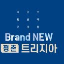 평촌트리지아 이미지