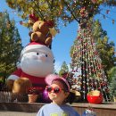 피터팬랜드 어린이집 | 과천 서울랜드 놀이기구 키제한 80cm 100cm 이하 3세 4세 5세 6세 아이랑 탈 수 있는 놀이기구 총정리