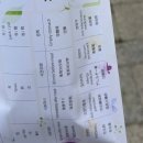신항장외과의원 | 강남역 사랑니 치과 강력추천 ㅣ제트구강악안면외과 ㅣ아래 사랑니 2개 발치 (안아팠어요)