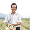 함양양파영농조합법인 이미지