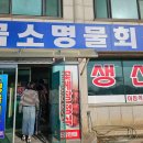 삼성회수산 건너편 이미지