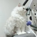 명분민박 이미지