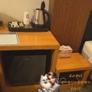 게리쿠퍼호텔 | [공지] 하이앤드디자인에 직원들이 친절해서 디지털노마드삶 즐긴 호텔 게리쿠퍼 후기!
