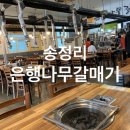 은행나무갈매기 이미지