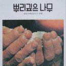 ‘서편제’ 촬영지, 수오당은 왜 순천으로 갔을까 이미지