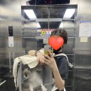 파스텔LC동물병원 이미지