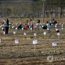 김영배농장 이미지