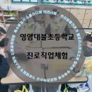 대불초등학교 이미지