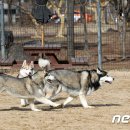 놀자 이미지