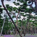 상수리공원 이미지