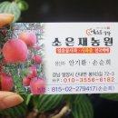 소은재농원 이미지