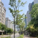 은평-029 이미지