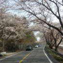 송림로터리 이미지