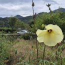 진악산농장 이미지