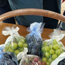 일월성농장 이미지