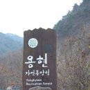 국립용현자연휴양림 이미지