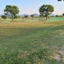 하장3길-3 이미지