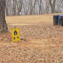 이안숲속야영장 이미지