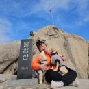 선우공원 족구장 화장실 | 강아지랑 불암산 등산 후기 주차장 및 화장실 정보