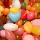 효진동물병원 이미지