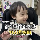유아카시트커버 필수템, 라이크앤라이크 카시트커버 사용 후기